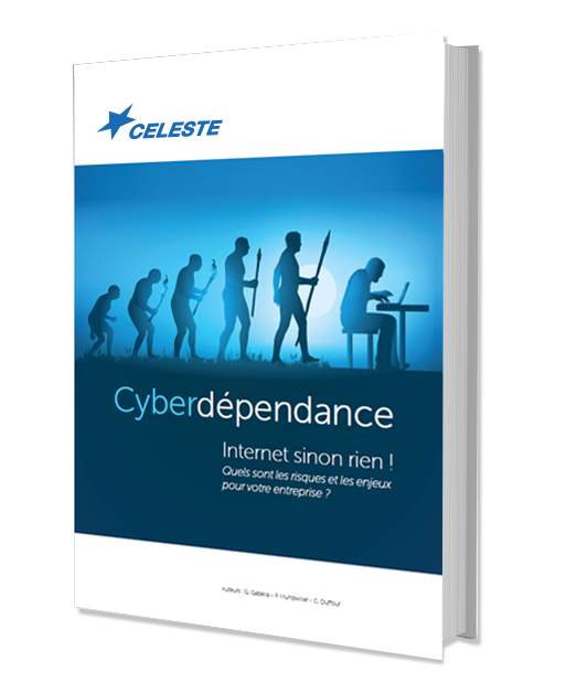 Livre Cyberdependance