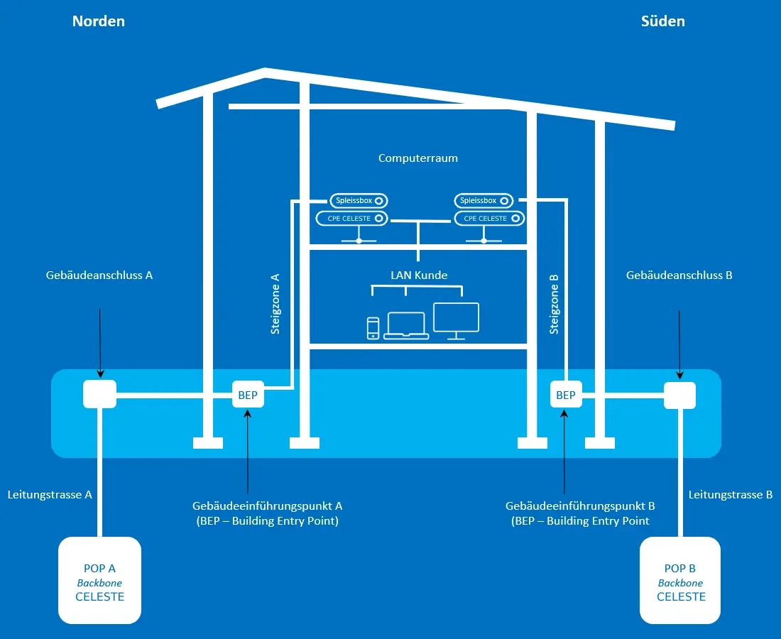 Schema MPLS Platinum